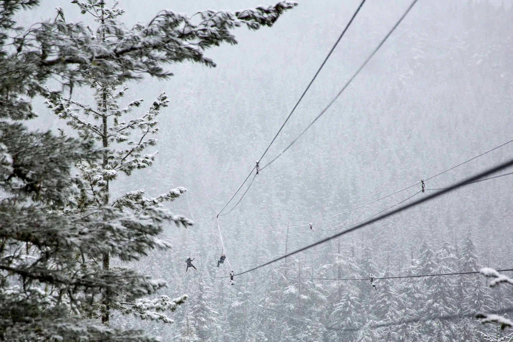 colorado rockies snowy zipline tour adventure